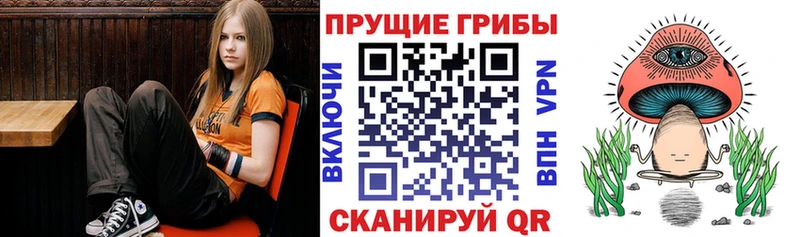 гидра вход  Ачинск  Псилоцибиновые грибы мицелий 