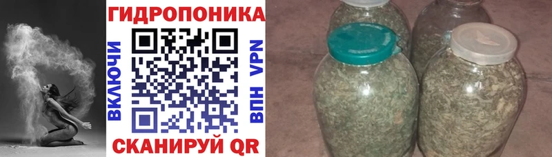 Конопля марихуана  Ачинск 